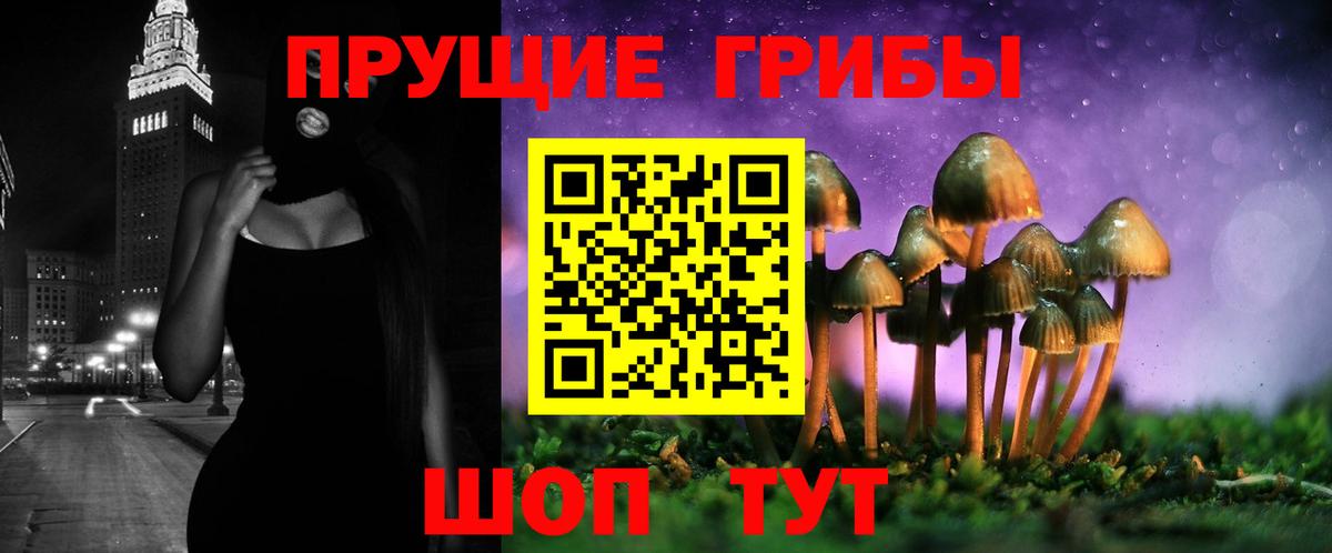 Псилоцибиновые грибы Cubensis  Вход с VPN  где купить наркотик  Псилоцибиновые грибы Magic Shrooms  Тавда 